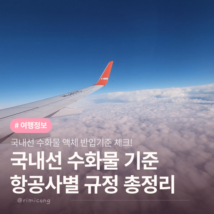 국내선 수화물 액체 위탁 수화물 용량 기준 총정리