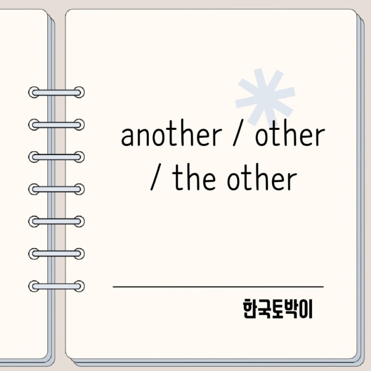  another, other, the other 뜻 차이