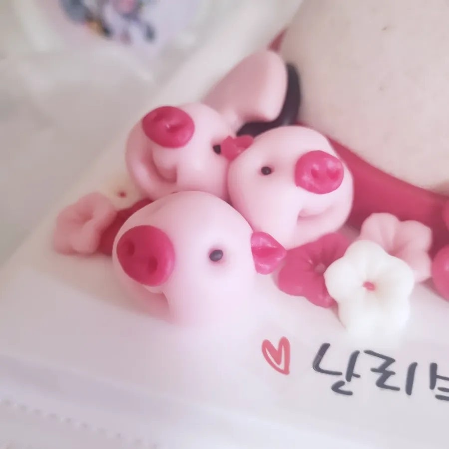 사탕시루 사진 2