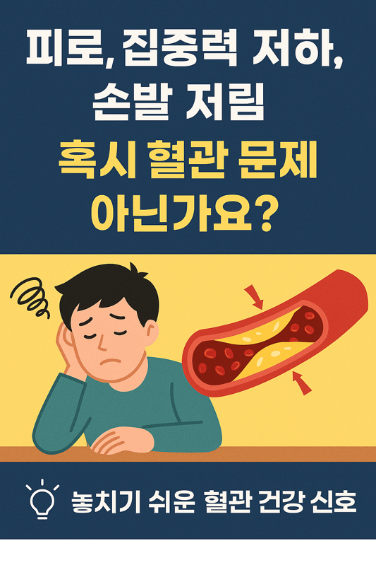   피로, 집중력 저하, 손발 저림 - 혹시 혈관 문제는 아닌가요?