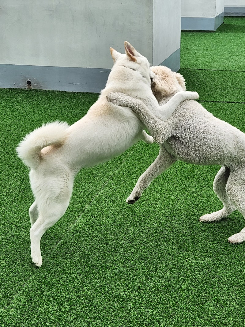 사진 9