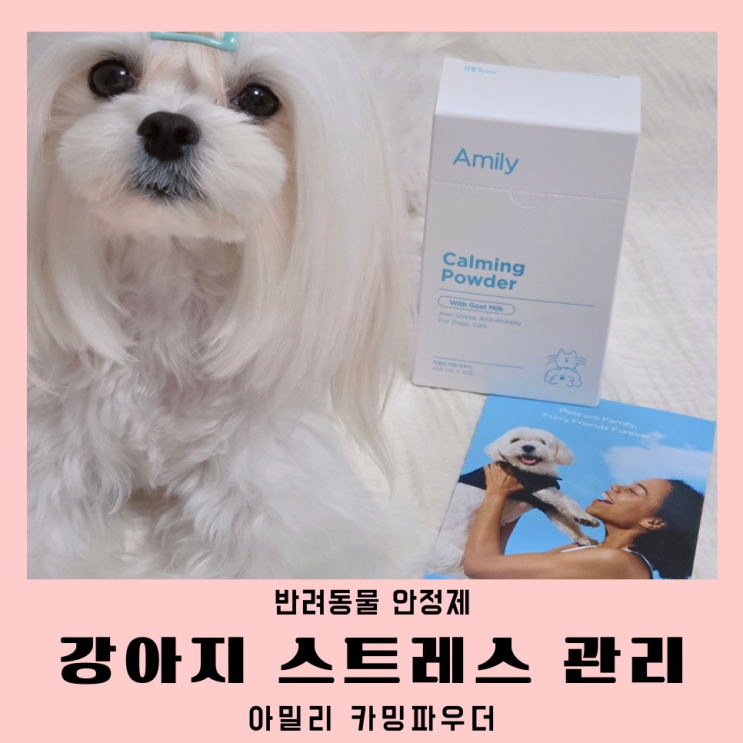  분리불안 멀미 아밀리 카밍파우더 강아지스트레스 케어