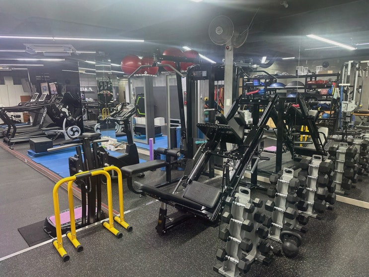  양재역 PT 맞춤운동 재활PT 올핏에서 체형 관리 시작해보세요!