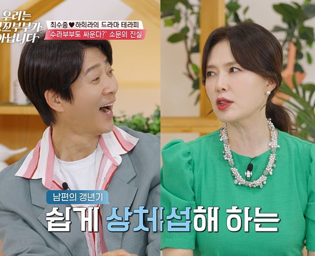 '부부관계 중 따귀' 주인공, 현역 배우쇼호스트였다…최수종하희라 치료에 '눈물' (잉꼬부부)