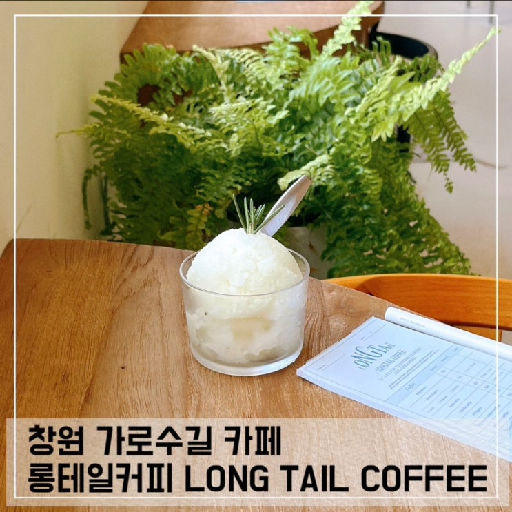  창원 가로수길 신상 감성 카페 롱테일 커피 LONG TAIL COFFEE