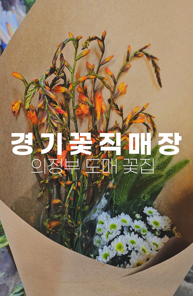  꽃값 저렴한 의정부 꽃 시장! 플로리스트 들이 찾는 "경기꽃직매장" 가성비 도매 리얼후기 내돈내산