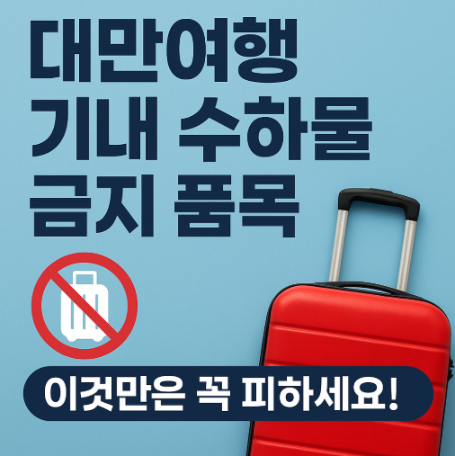  대만여행 기념품 기내 수하물 금지 품목, 이것만은 꼭 피하세요