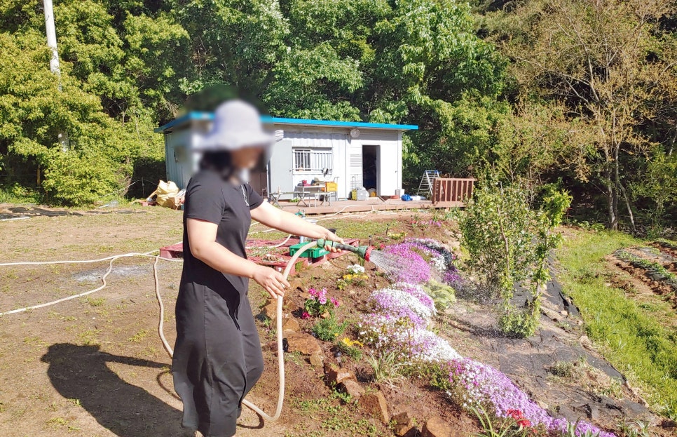 모향촌손두부 사진 1