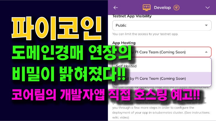  파이코인 도메인경매 연장의 비밀이 밝혀졌다!! 코어팀의 개발자앱 직접 호스팅 예고!!