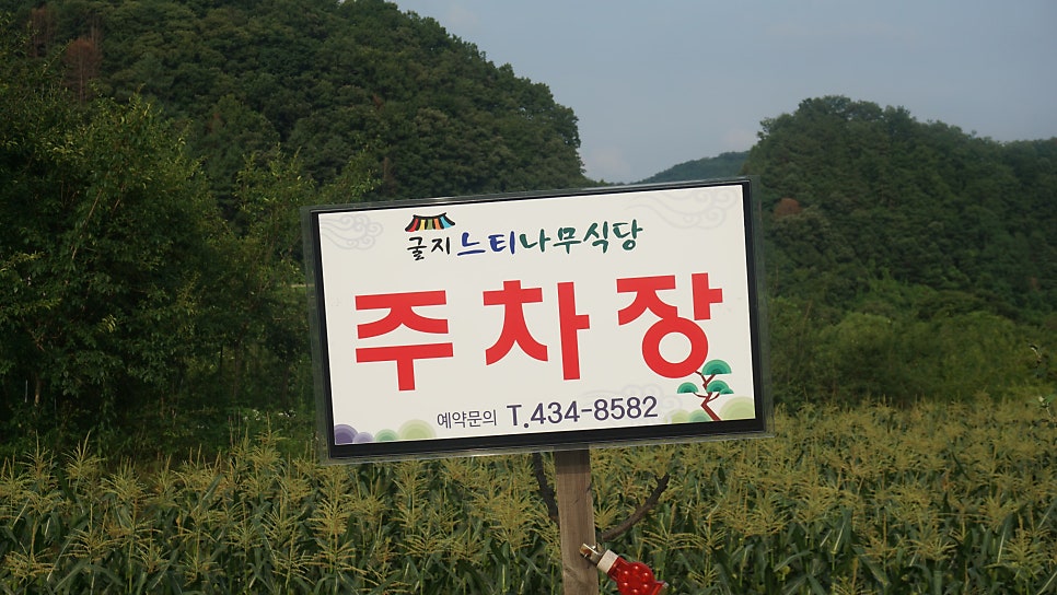 굴지느티나무식당 사진 3