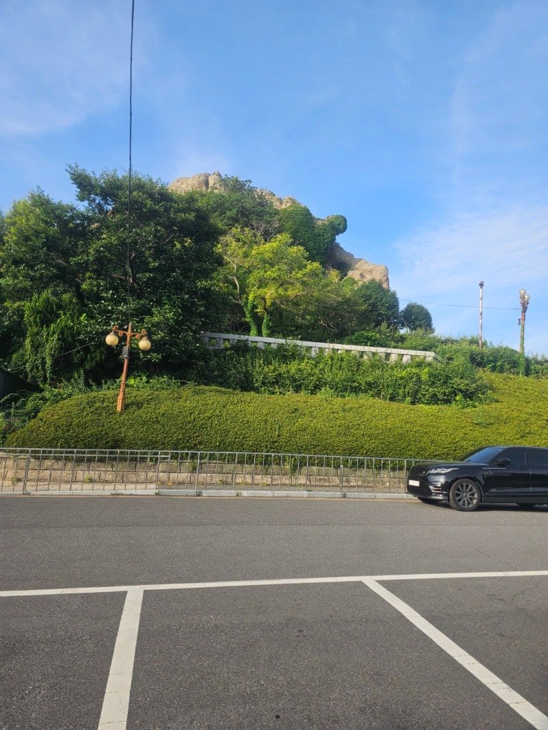 사진 3