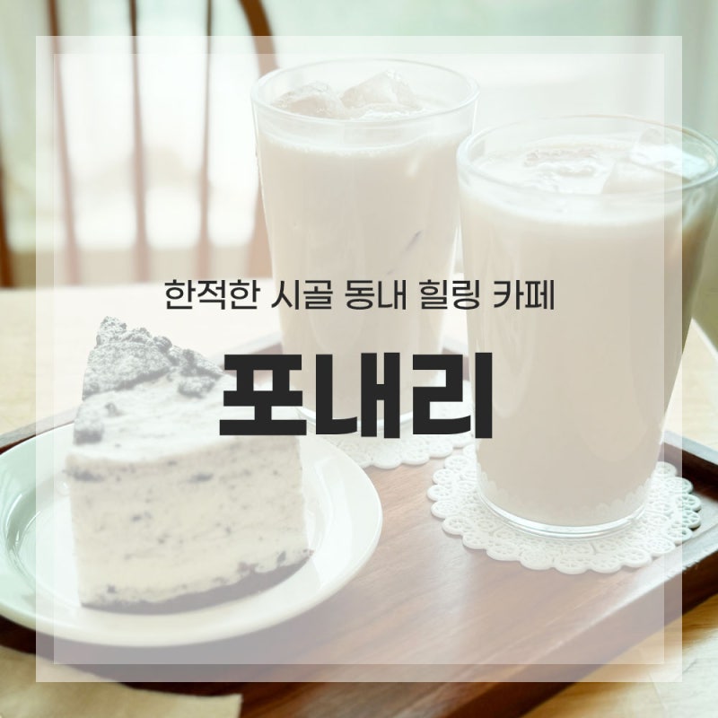 사진 8