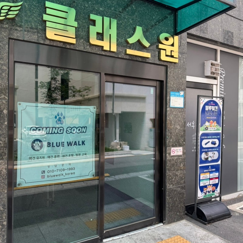 블루워크 애견유치원 애견호텔