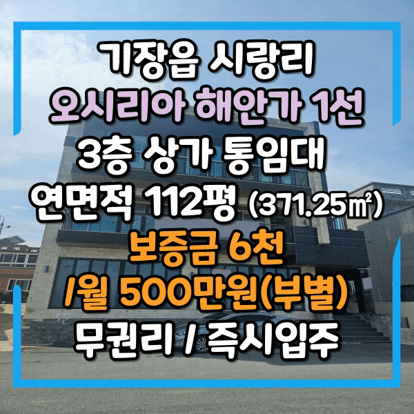  오시리아 기장읍 시랑리 해안가 1선 상가건물 통임대, 카페, 횟집, 식당하기 좋은 자리, 3층건물 주거가능 동부산 상가 전체임대