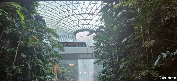  [싱가포르여행] 창이공항 놀거리, 아기랑 쥬얼창이 거울미로+캐노피파크, 푸드코트