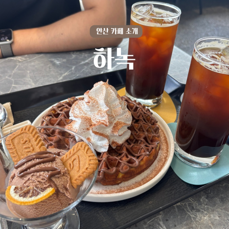  안산, 와플 맛집 조용한 카페 하녹
