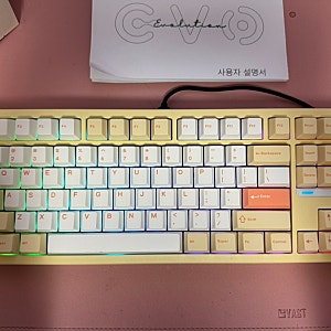 [리뷰] 내돈내산 프레이 키보드 EVO80 스웨그키 실사용 후기
