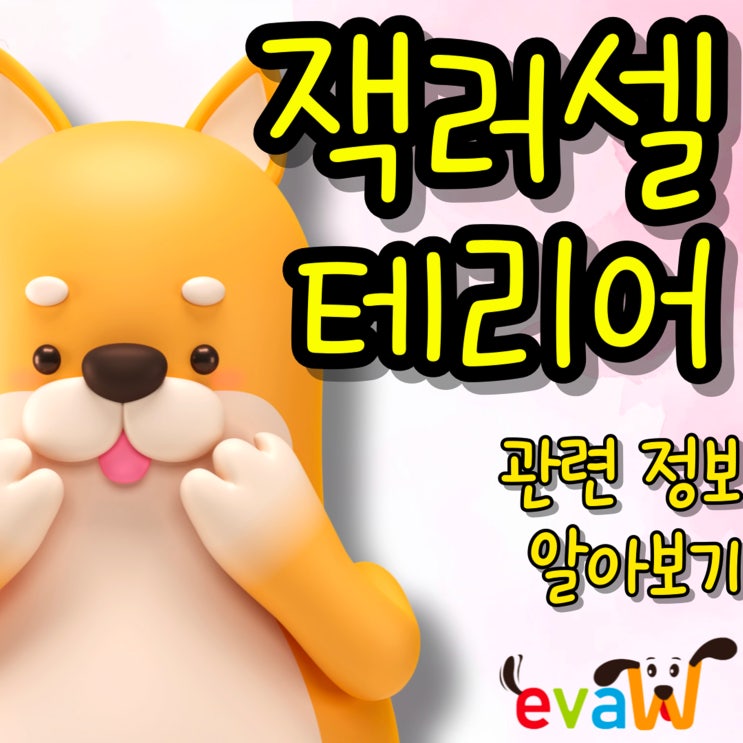  잭러셀테리어, 강한 에너지와 지성을 지닌 소형견 (분양, 성격, 특징, 믹스)