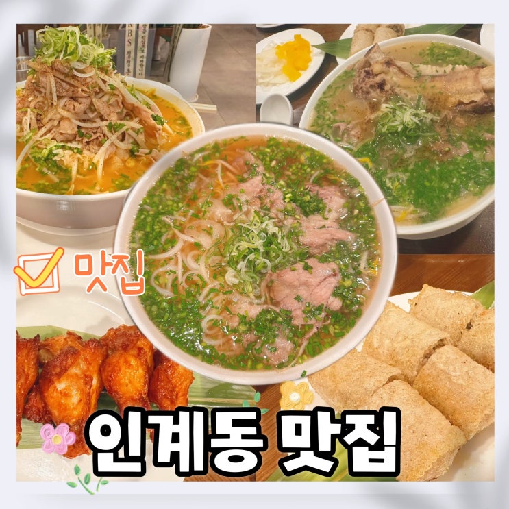  인계동 맛집 포레스트오늘숲 수원인계점 혼밥 수원시청역 쌀국수