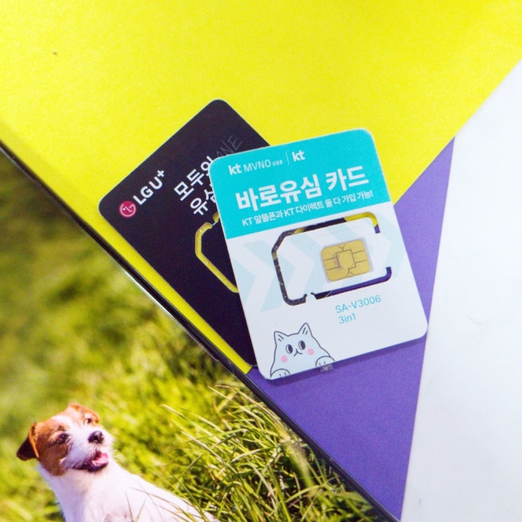  KT 휴대폰 미납 정지 선불유심 셀프개통 방법