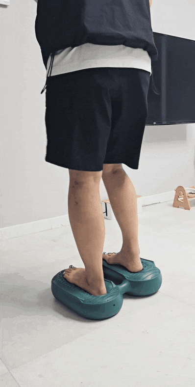  [내돈내산] 다이어트 학교 리압 스텝퍼