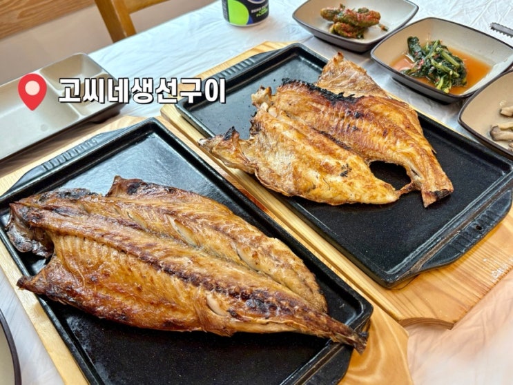  원주생선구이 맛집 추천 생물만 쓰는 단구동 고씨네생선구이