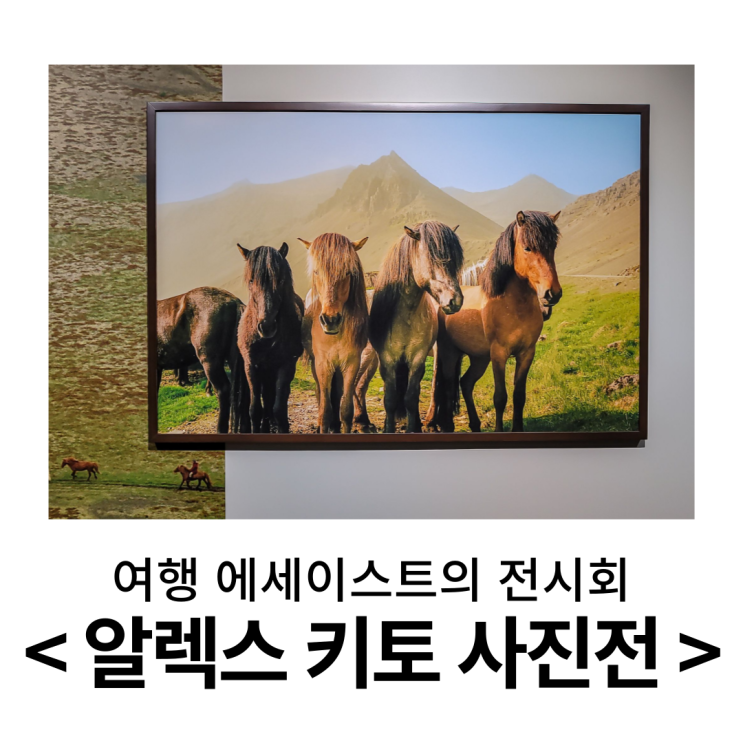  알렉스 키토 사진전 후기 ㅣ 서울 전시, 그라운드 시소 이스트