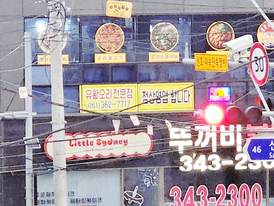 힘찬유황오리 사진 2