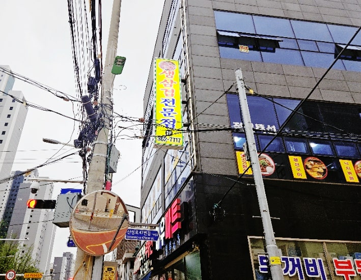 힘찬유황오리 사진 3