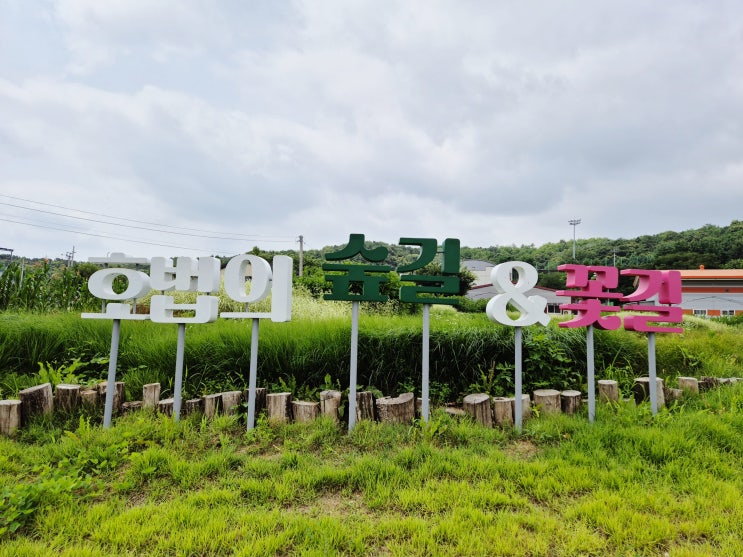  주말 라이딩, 동남축(기흥역_여주역) 더위 사냥!!!