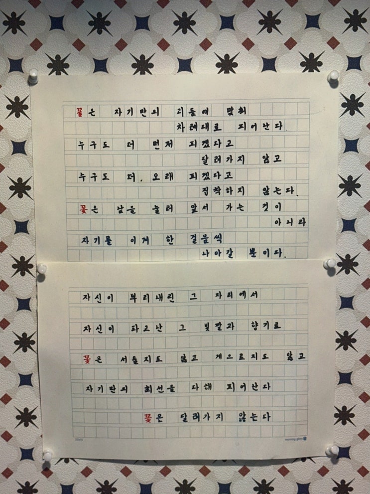  몽상가옥, 행궁동애견동반맛집추천으로 강아지와 함께하는 특별한 요리 경험
