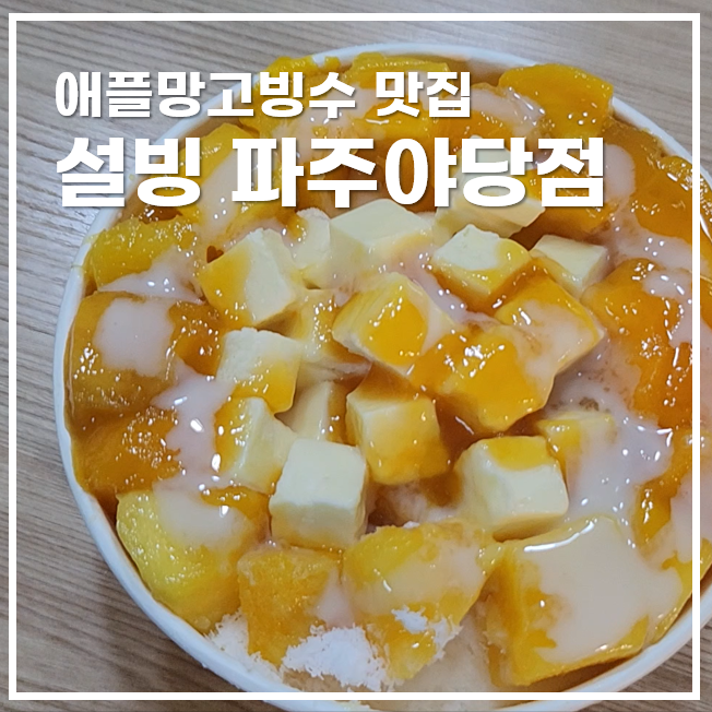  빙수맛집 설빙 파주야당점 애플망고치즈설빙 기프티콘 포장
