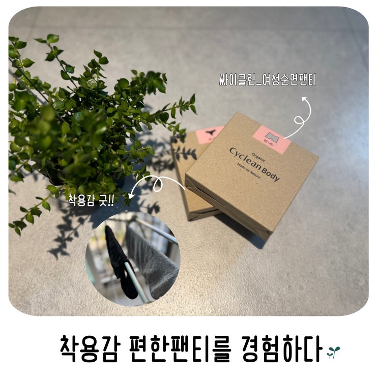  싸이클린 여성순면팬티 착용감 편한팬티를 경험하다