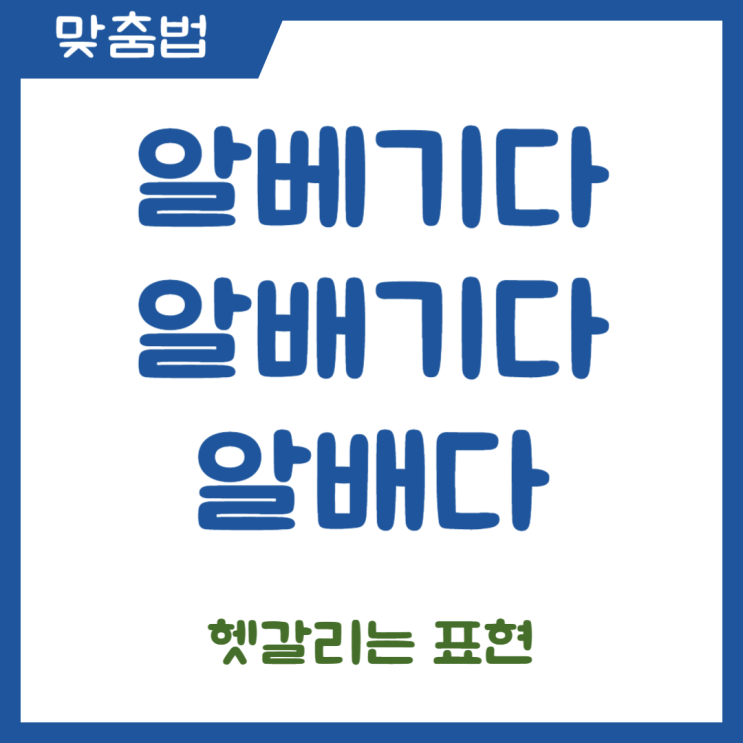  알베기다, 알배기다, 알배다 헷갈리는 표현 정리