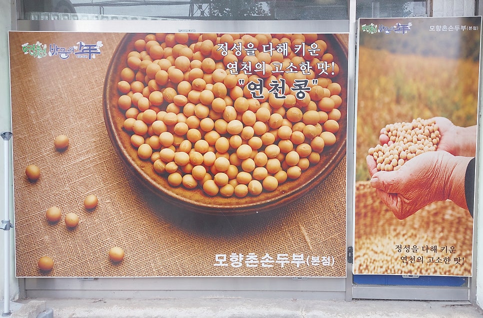 모향촌손두부 사진 3