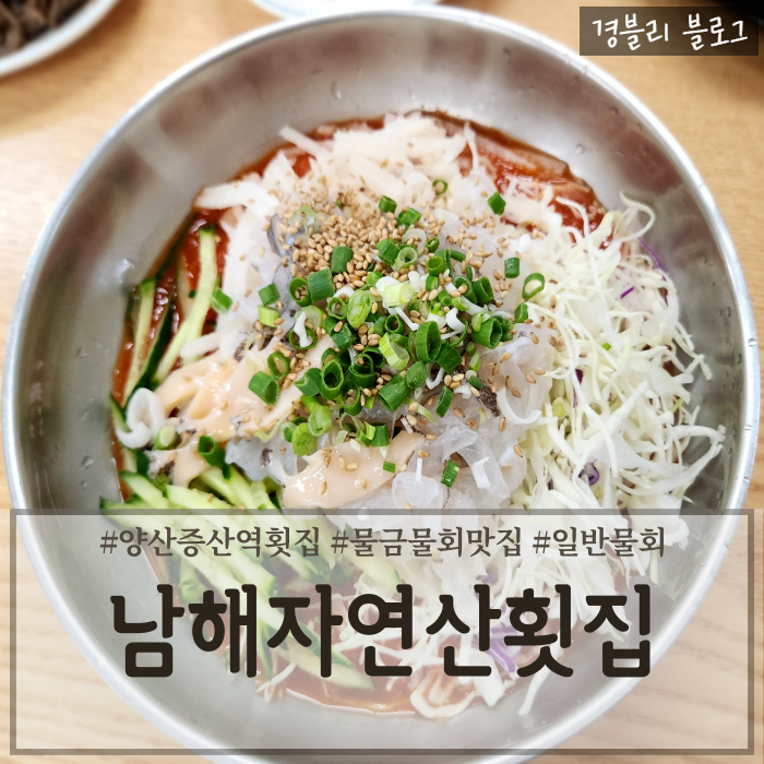  양산증산횟집 증산역물회맛집 물금물회맛집 '남해자연산횟집'