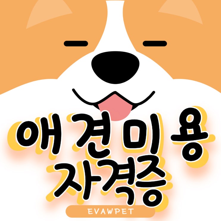  광주애견미용자격증 취업과 창업을 위한 똑똑한 선택