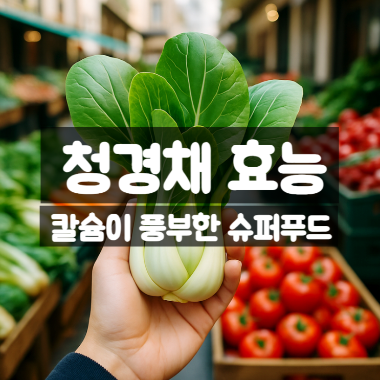  청경채 효능 부작용 총정리 – 칼슘이 풍부한 슈퍼푸드