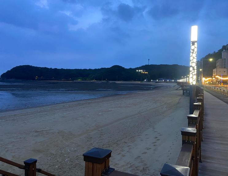  인천 옹진 반려동반펜션 강아지랑 가기 좋은 미리네펫하우스 추천