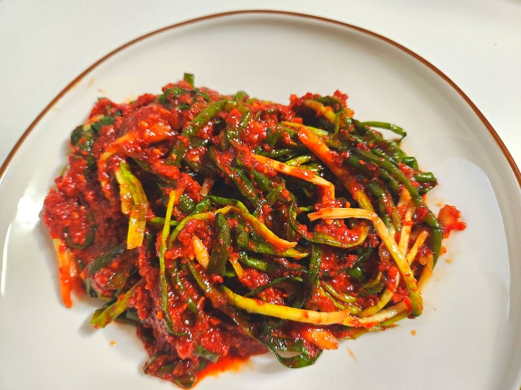 삼대본가김치 국산 맛있게 매운파김치 추천 삼대본가김치 국산 맛있게 매운파김치 추천