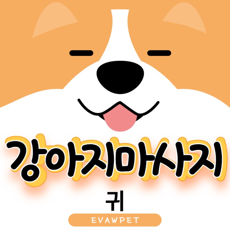  강아지귀마사지 올바른 방법과 효과 알아보기