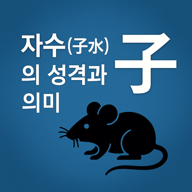 자수(子水)에 대한 해석