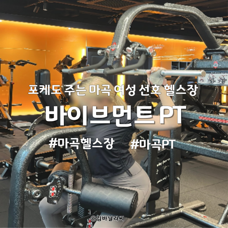  마곡 헬스장 바이브먼트 승무원 다이어트 PT 헬스 후기