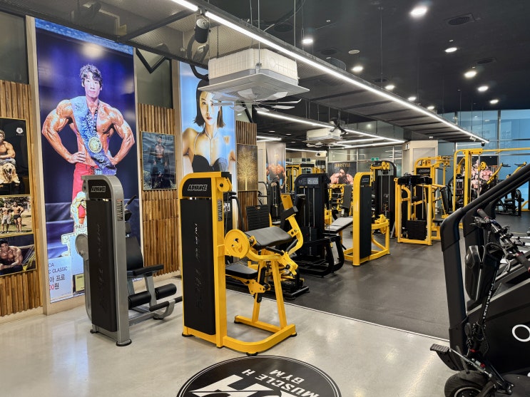  아산PT 피티 머슬에이치짐 전문가에게 운동 배우자!!