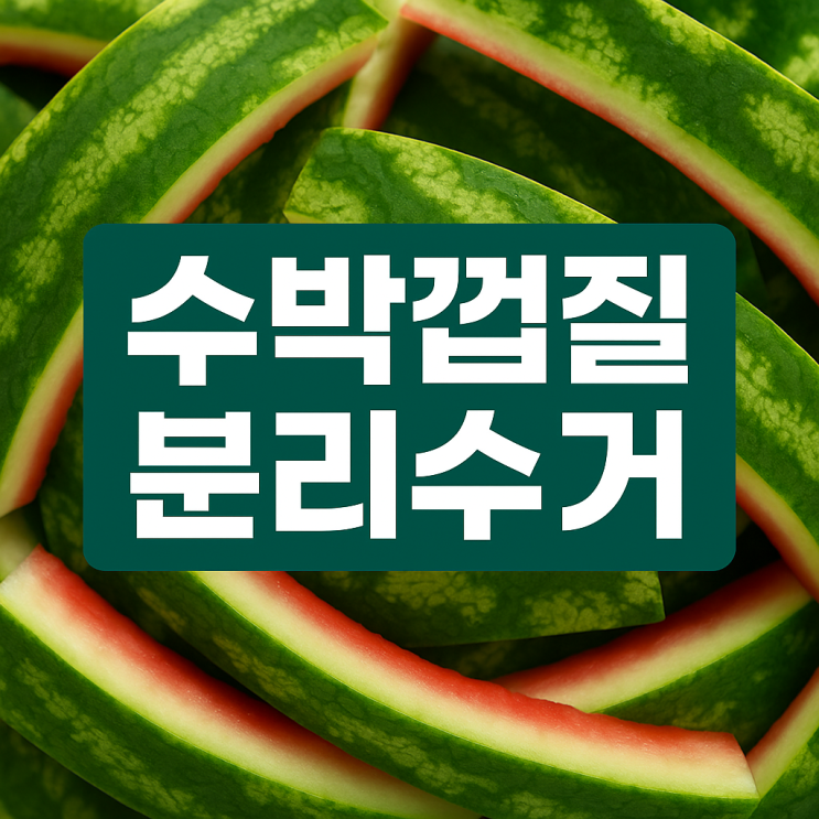  수박껍질 분리수거 버리는법 음식물 일반 총정리