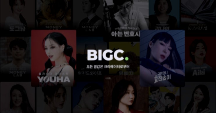  [플랫폼 소개] K-POP(케이팝) 팬들을 위한 새로운 콘텐츠 플랫폼 빅크(BIGC), 콘서트 티켓팅과 외국 팬덤을 위한 팬투표 서비스 제공