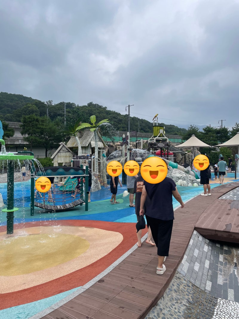 사진 5