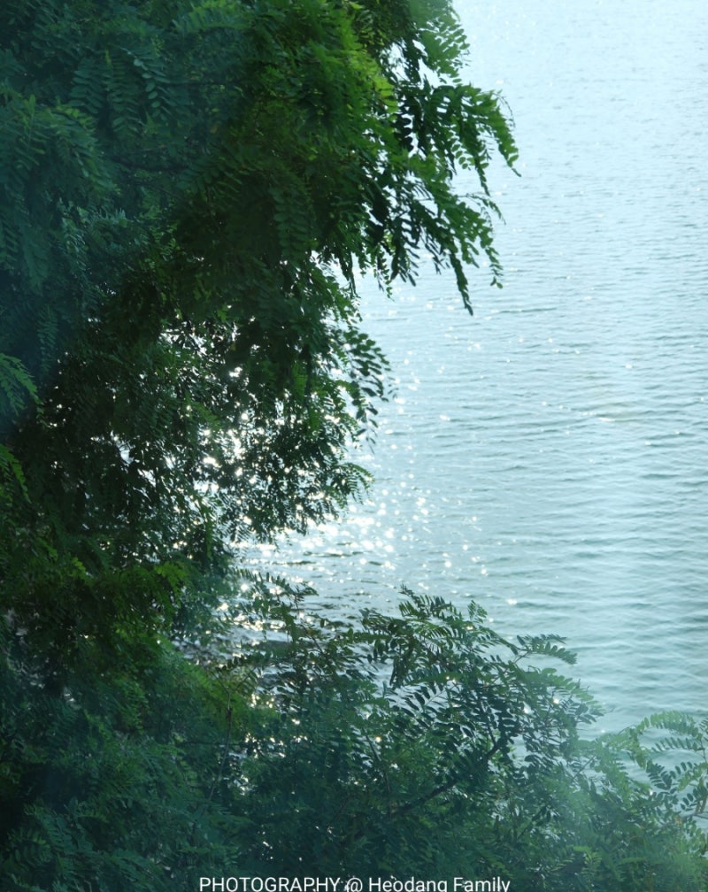 사진 7