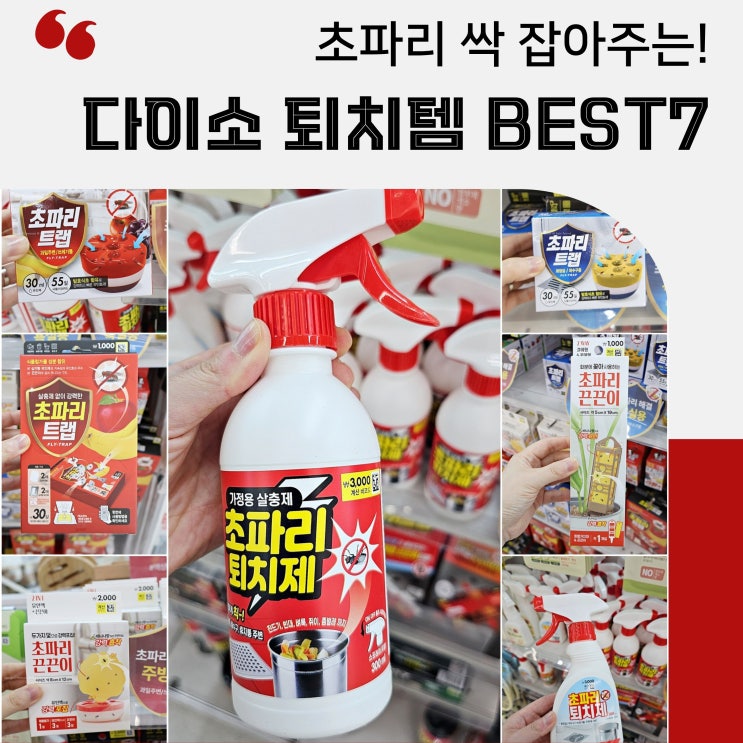  상황별 다이소 초파리트랩 추천템 BEST 7
