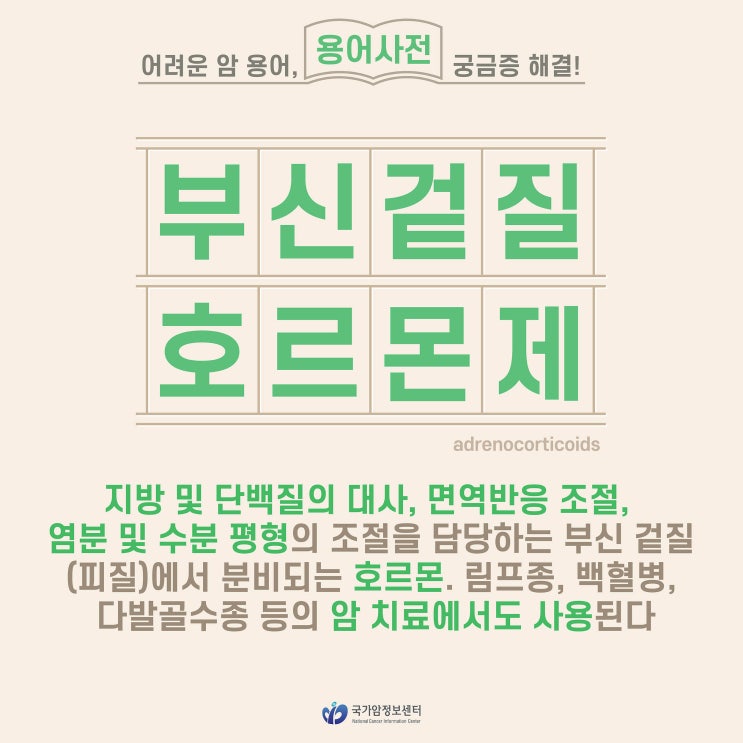  [암 용어사전] 부신겉질호르몬제